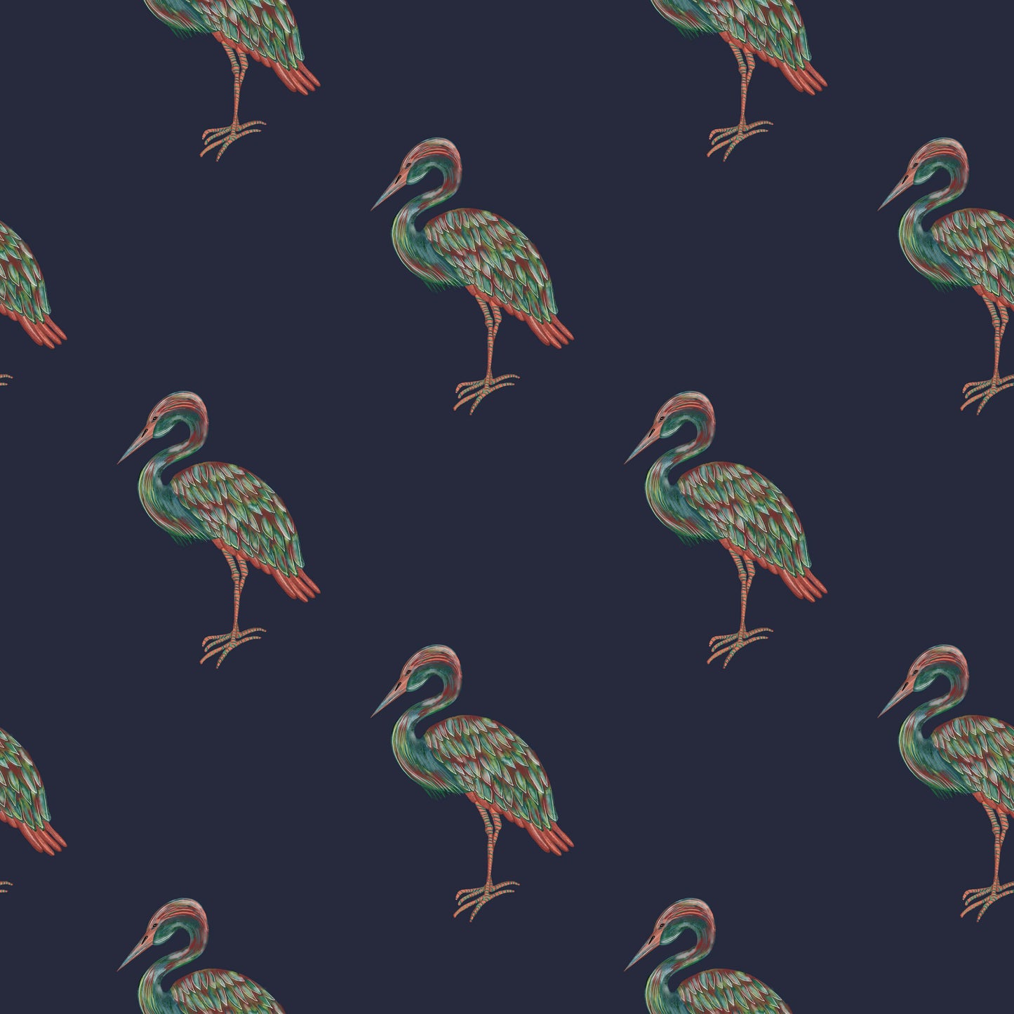 Conversational Birds In Navy